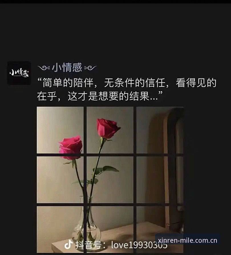 看得见的信任V3网页版攻略 看得见的信任V3网页版深度评测:从“找不到入口”到“流畅切换”究竟改了什么?